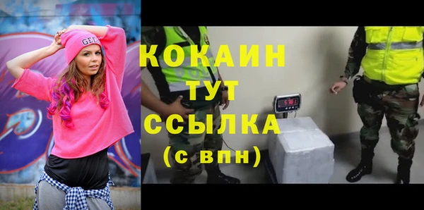 винт Алзамай