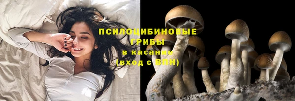 скорость Алексин