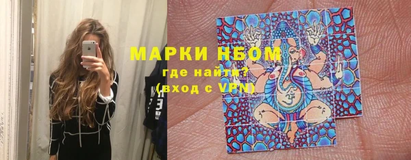 винт Алзамай