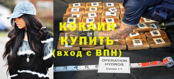 винт Алзамай