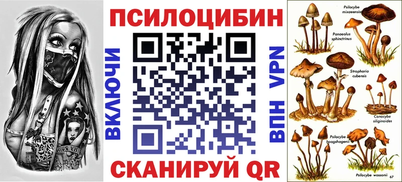 закладки  Зарайск  Псилоцибиновые грибы прущие грибы 